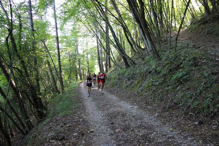 I corridori attraversano bossi di lecci e querce nel Trail Running di Assisi organizzato da ASPA Bastia
